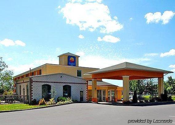 Comfort Inn - Pocono Mountains White Haven Exterior photo