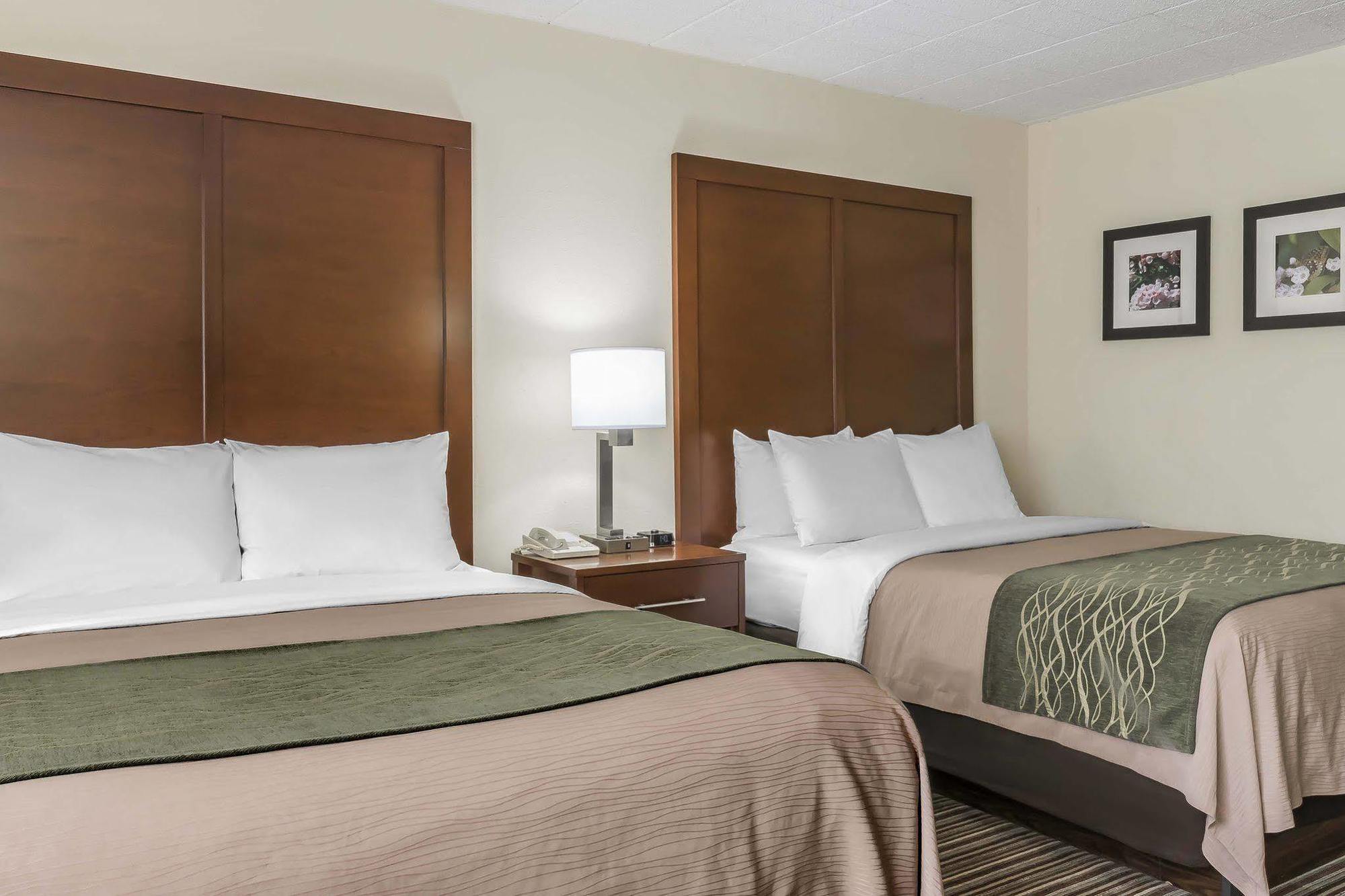 Comfort Inn - Pocono Mountains White Haven Exterior photo
